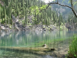 Thế giới đó đây: Rừng cây mọc ngược dưới hồ nước